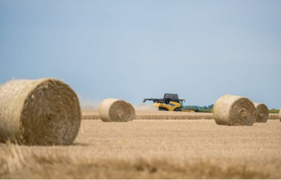 Đua với Nga, một quốc gia đưa báu vật giá rẻ đến Việt Nam: Là ông trùm thứ 5 toàn cầu, nước ta chớp cơ hội vàng nhập hơn 400 triệu USD - Ảnh 1