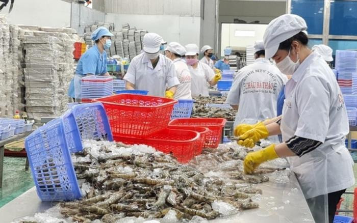 Mang về gần 3 tỷ USD trong 4 tháng đầu năm, báu vật dưới nước của Việt Nam nhận tin vui từ khách sộp - hứa hẹn hái ra tiền trong tương lai - Ảnh 4