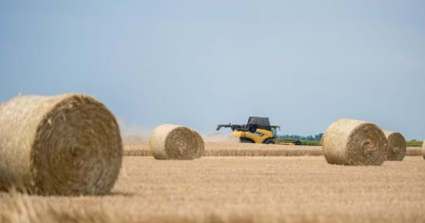 Đua với Nga, một quốc gia đưa báu vật giá rẻ đến Việt Nam: Là ông trùm thứ 5 toàn cầu, nước ta chớp cơ hội vàng nhập hơn 400 triệu USD