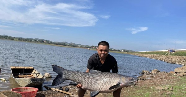 Câu được cá trắm đen 'khủng' hơn 36kg ở hồ nước đẹp nhất Buôn Ma Thuột