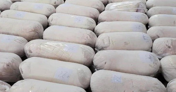 Giá heo hơi vào "sóng" tăng sắp chạm mốc 70.000 đồng/kg, nhiều "ông lớn" đua nhau tái đàn