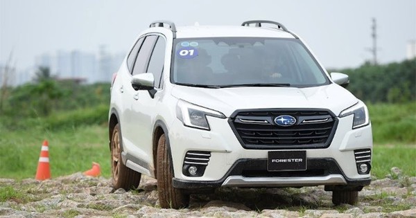 Xe Subaru dừng sản xuất tại Thái Lan, đại diện Subaru Việt Nam nói gì?