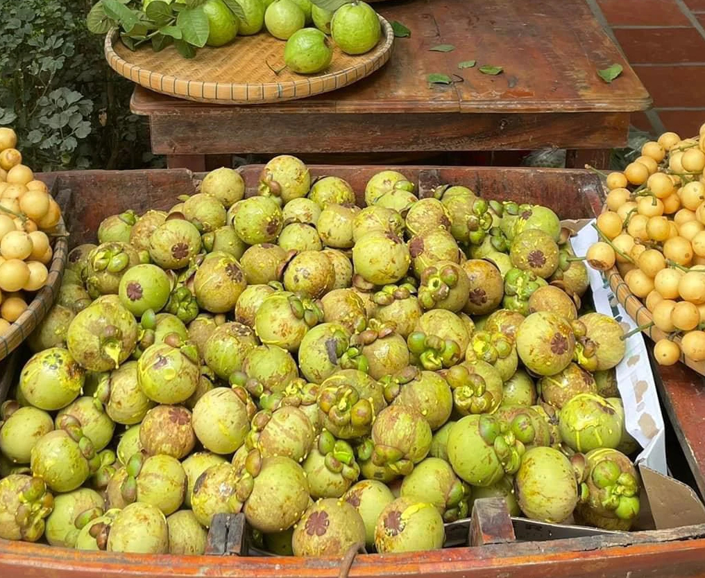 Măng cụt gọt sẵn vẫn đắt đỏ dù món gỏi gà măng cụt hết "hot" - Ảnh 2