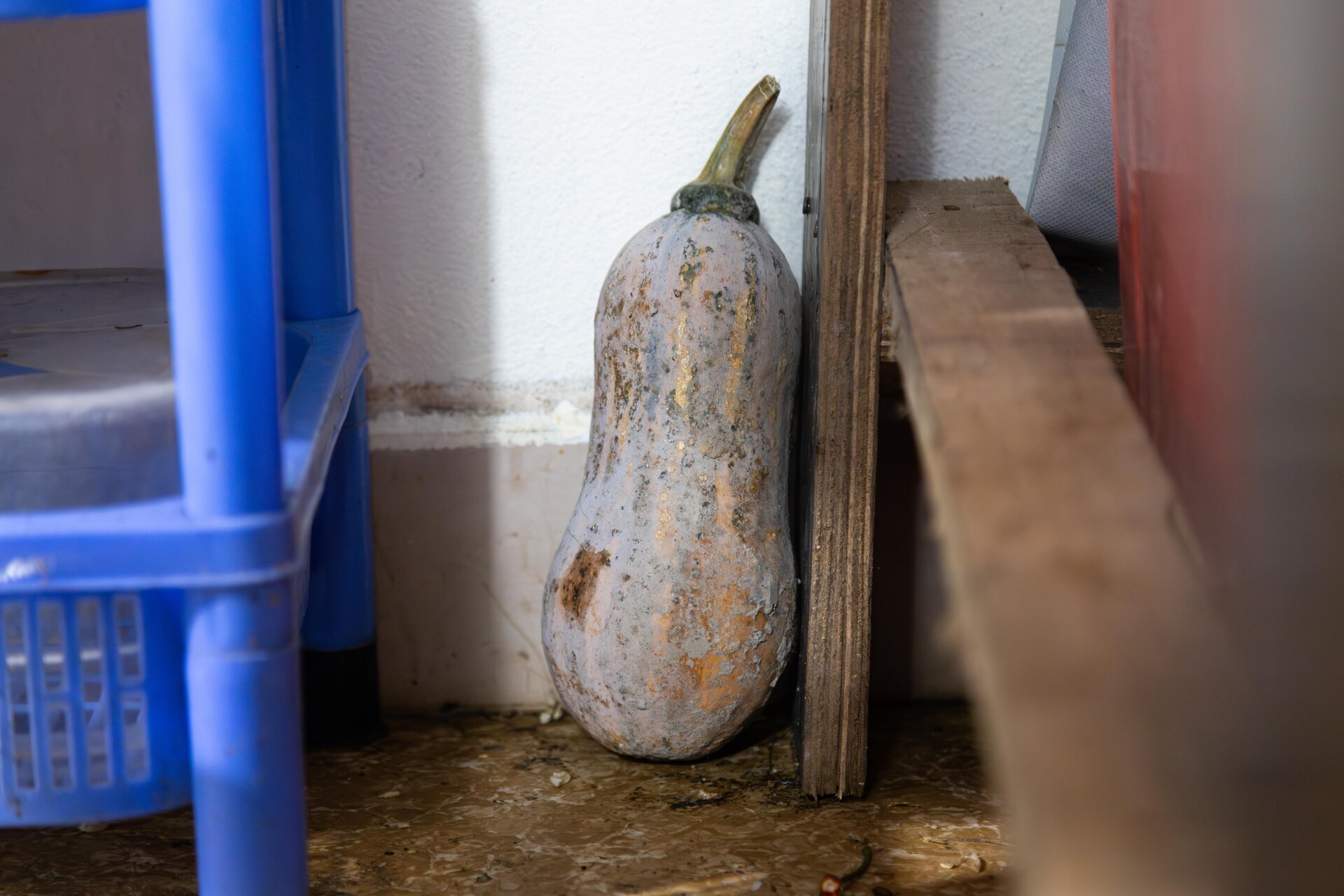 Món gì cũng đắt đỏ, người nghèo chật vật xoay xở để bữa cơm có thịt - Ảnh 17