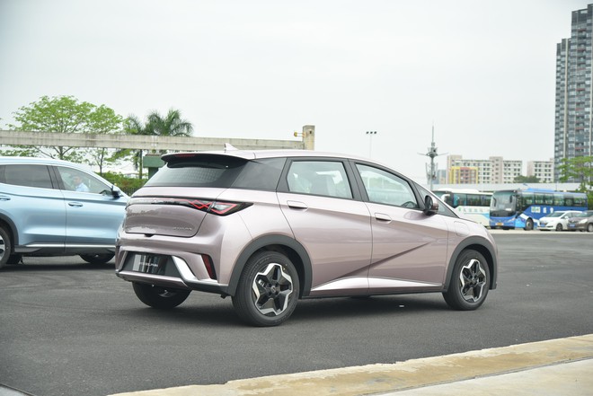 Hình ảnh này cho thấy bộ 3 xe BYD mới đã về Việt Nam: SUV, sedan, hatchback đều có, đại lý đặt lịch chạy thử tháng sau - Ảnh 13