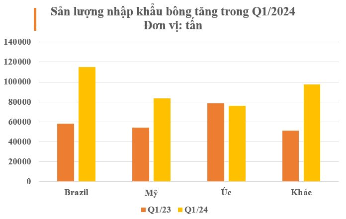 2 cường quốc của thế giới đua nhau đưa ‘vàng trắng’ đến Việt Nam: Chi hơn 700 triệu USD nhập khẩu, nước ta là ‘cá mập’ đứng thứ 3 thế giới - Ảnh 2