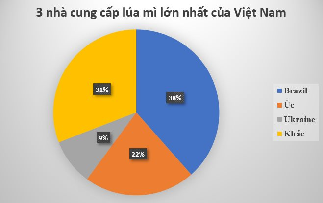 Đua với Nga, một quốc gia đưa báu vật giá rẻ đến Việt Nam: Là ông trùm thứ 5 toàn cầu, nước ta chớp cơ hội vàng nhập hơn 400 triệu USD - Ảnh 3