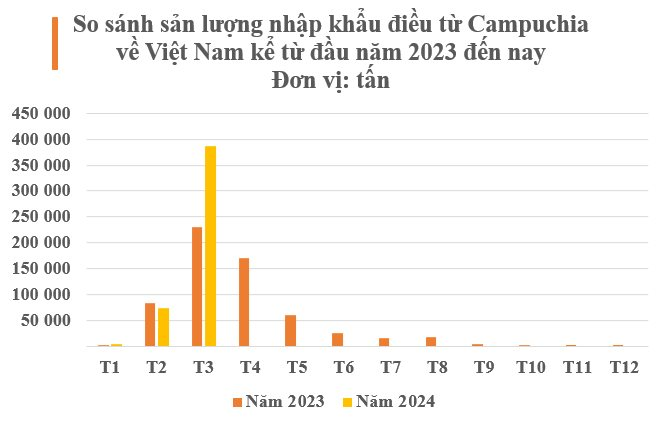 Xuất khẩu 98% loại 'hạt vàng hạt bạc' này sang Việt Nam, người Campuchia tiếc nuối: 'sản phẩm của chúng ta ngon, chất lượng tốt nhưng thiếu công nghệ chế biến' - Ảnh 2