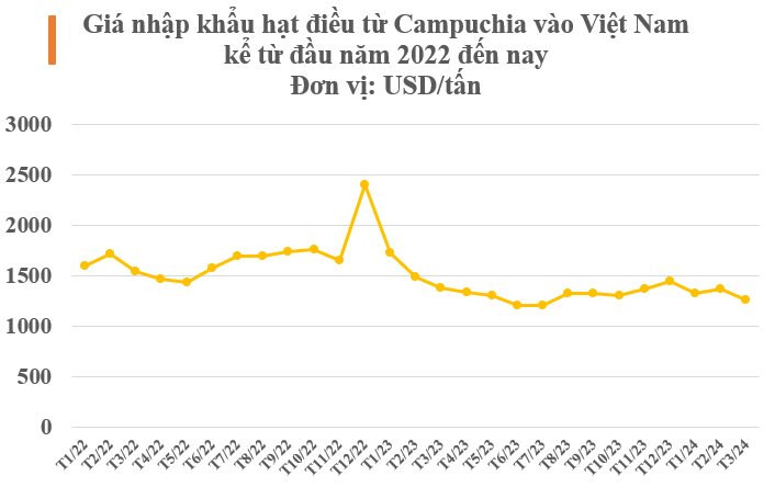 Xuất khẩu 98% loại 'hạt vàng hạt bạc' này sang Việt Nam, người Campuchia tiếc nuối: 'sản phẩm của chúng ta ngon, chất lượng tốt nhưng thiếu công nghệ chế biến' - Ảnh 3