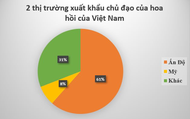Loại hoa trồng 1 lần thu hoạch 80 năm này được Ấn Độ cực kỳ yêu thích: Việt Nam xuất gần 4.000 tấn từ đầu năm - Ảnh 3
