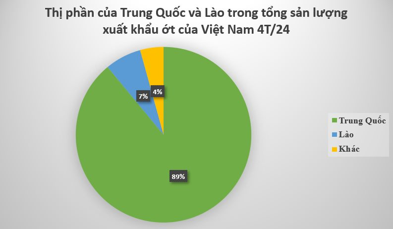 Loại quả 'nhỏ nhưng có võ' của Việt Nam được Trung Quốc ồ ạt thu mua: Nhu cầu toàn cầu lên đến 4.000 tấn, nước ta là ‘ông trùm’ thứ 2 thế giới - Ảnh 2