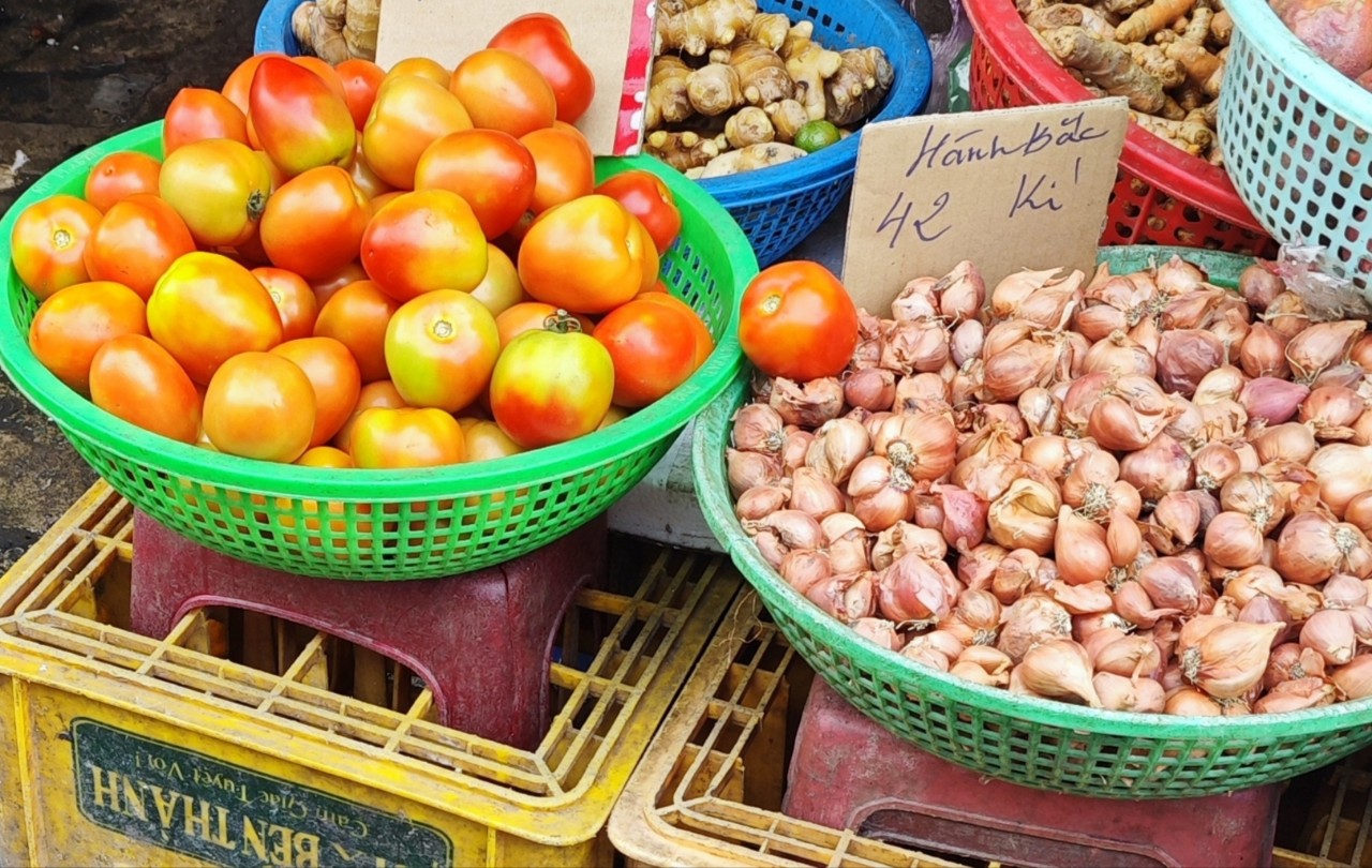 Giá cà chua tăng cao đột biến - Ảnh 2