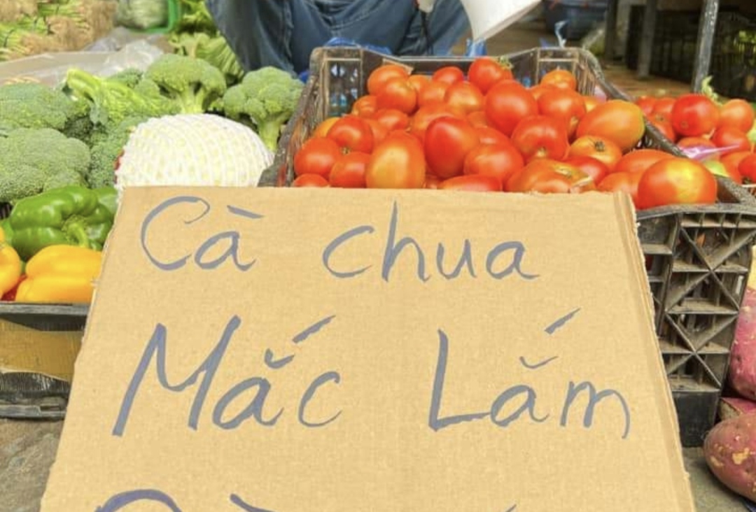 Giá cà chua tăng cao đột biến - Ảnh 1