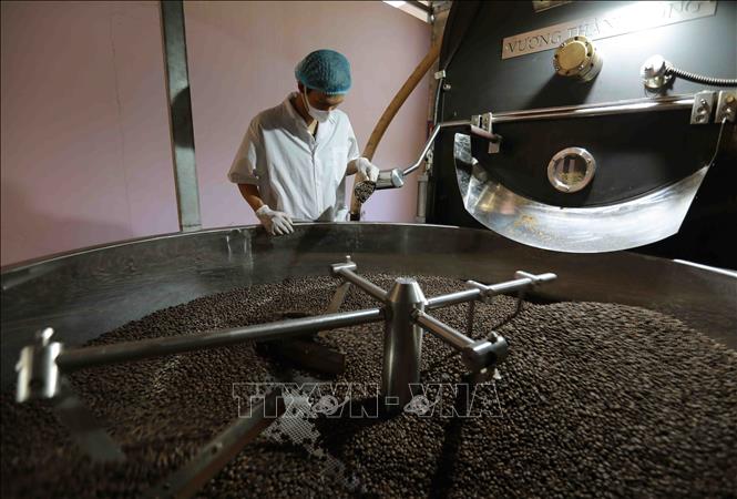 Cà phê 'ngóng trông' tín hiệu mùa vụ - Ảnh 1