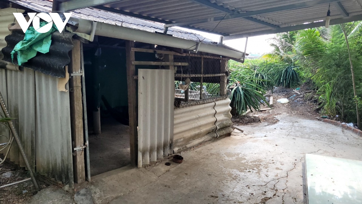 Thanh long tăng giá, nhà vườn ngày đêm canh giữ cây - Ảnh 4