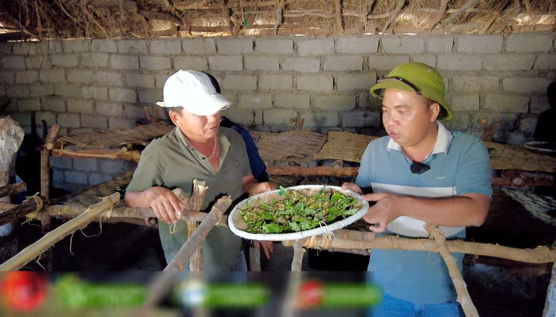 Trang trại tằm Việt Nam tại châu Phi sắp được thu hoạch bỗng gặp biến cố chết hàng loạt, ông chủ cầu cứu - Ảnh 8