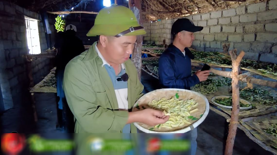 Trang trại tằm Việt Nam tại châu Phi sắp được thu hoạch bỗng gặp biến cố chết hàng loạt, ông chủ cầu cứu - Ảnh 1