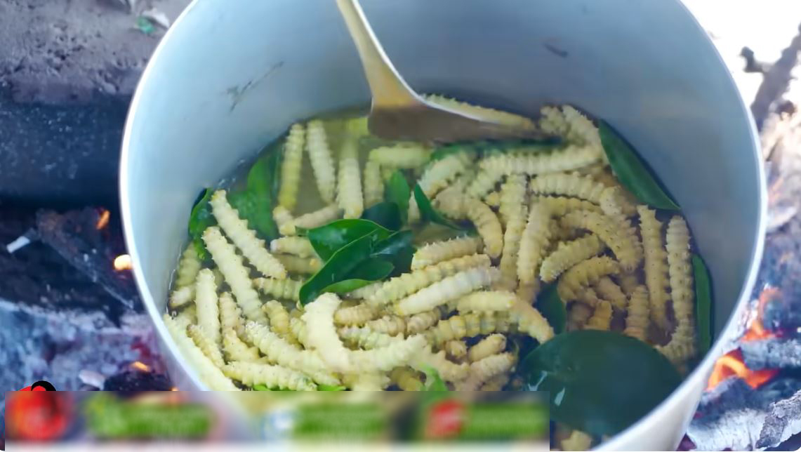 Trang trại tằm Việt Nam tại châu Phi sắp được thu hoạch bỗng gặp biến cố chết hàng loạt, ông chủ cầu cứu - Ảnh 2