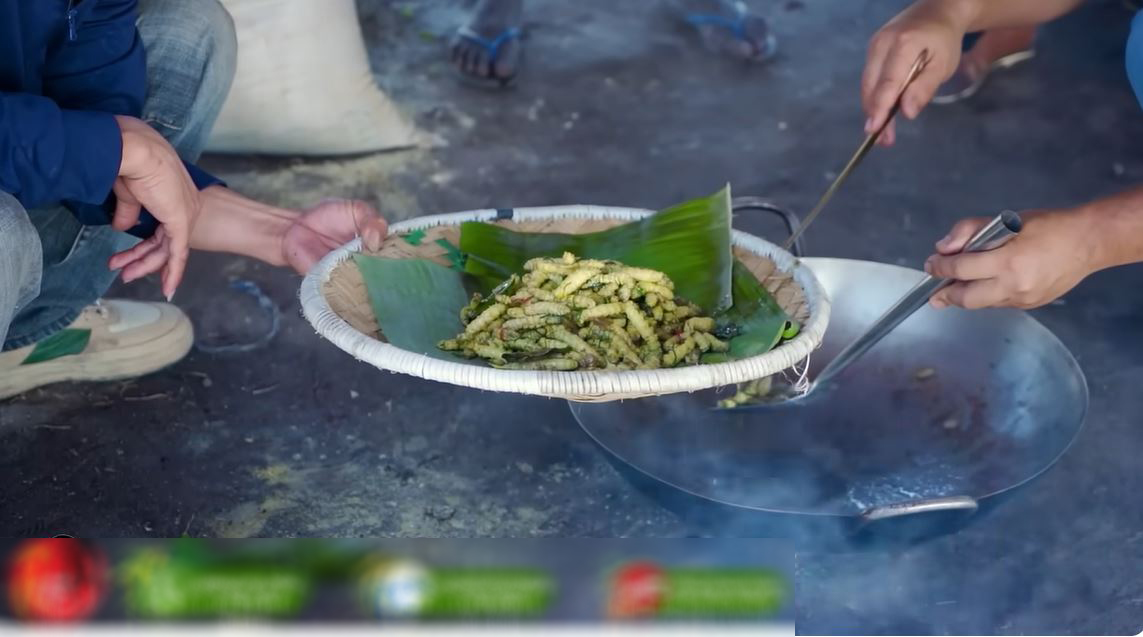 Trang trại tằm Việt Nam tại châu Phi sắp được thu hoạch bỗng gặp biến cố chết hàng loạt, ông chủ cầu cứu - Ảnh 3