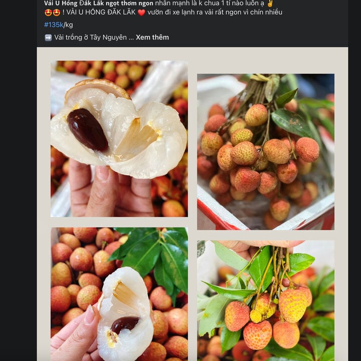 Vải u hồng chín sớm, giá cao ngất hơn 100.000 đồng/kg vẫn hút khách - Ảnh 2