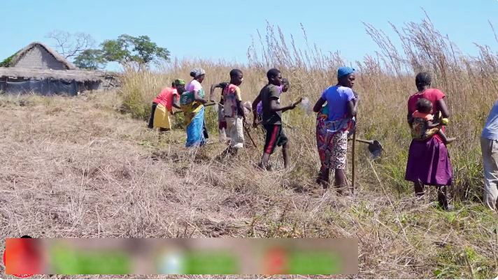 Định trồng lúa nước mùa khô, trang trại người Việt tại Angola điêu đứng - Ảnh 1