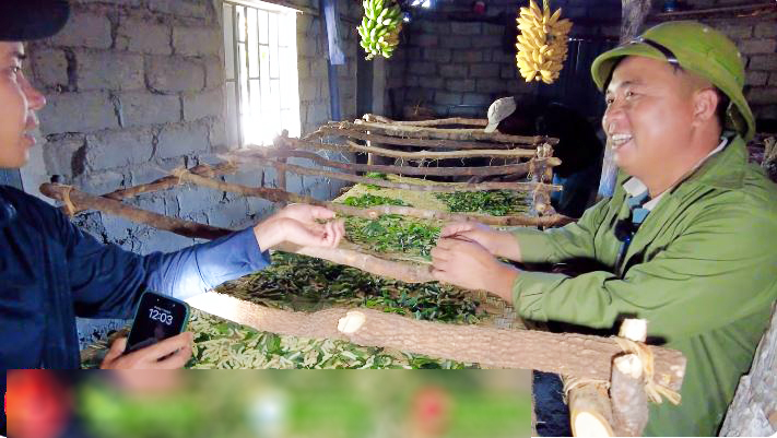 Định trồng lúa nước mùa khô, trang trại người Việt tại Angola điêu đứng - Ảnh 4