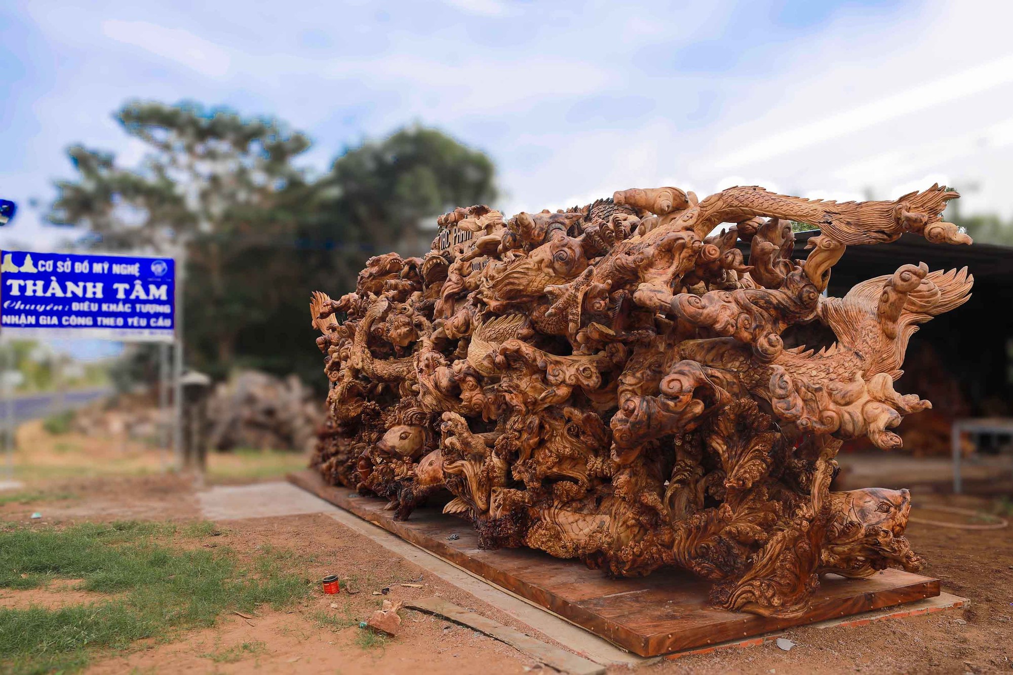 Gốc me tây giá 24 tỷ đồng, chủ nhân dành gần 2 năm tạo hình cửu long - Ảnh 2