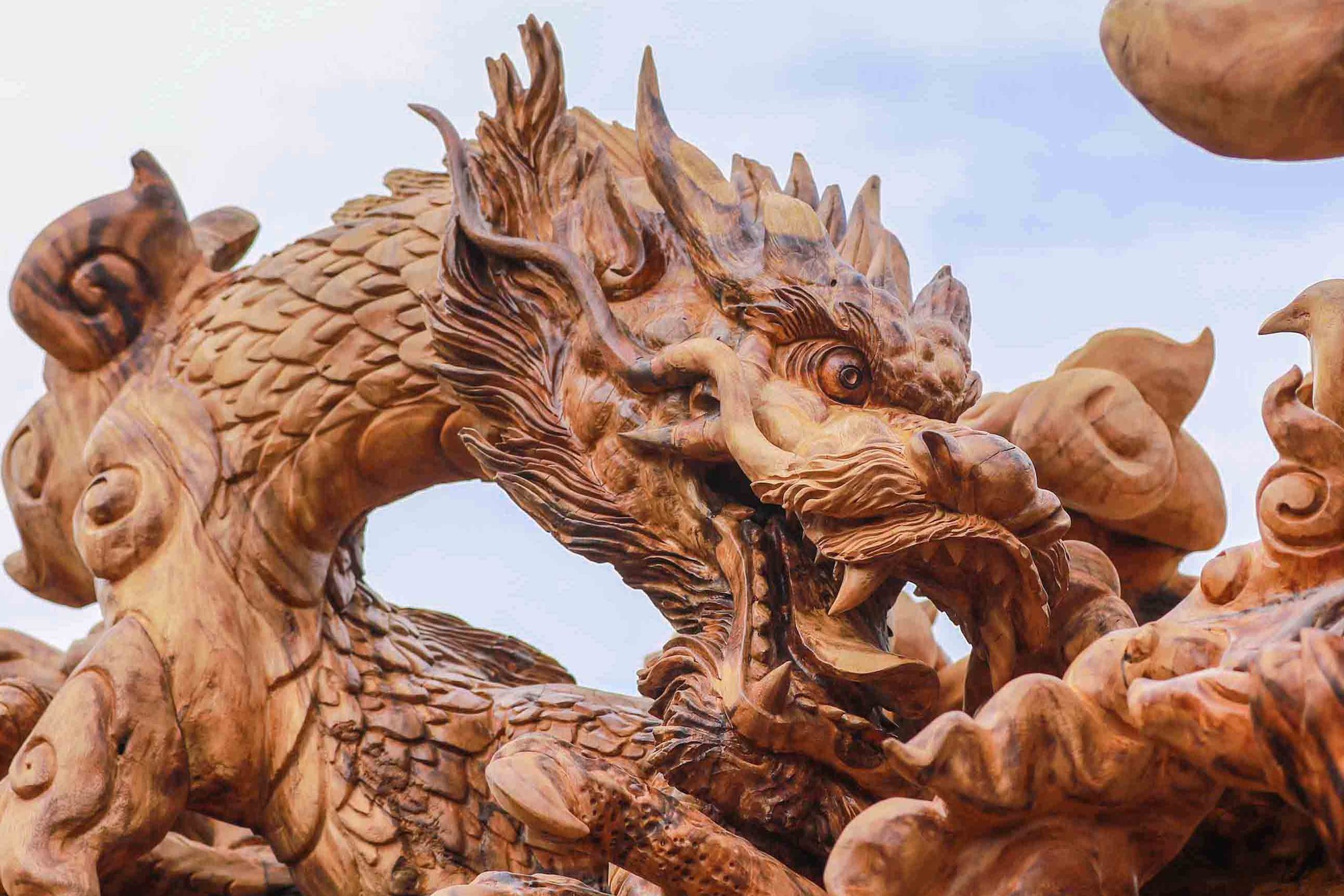 Gốc me tây giá 24 tỷ đồng, chủ nhân dành gần 2 năm tạo hình cửu long - Ảnh 5