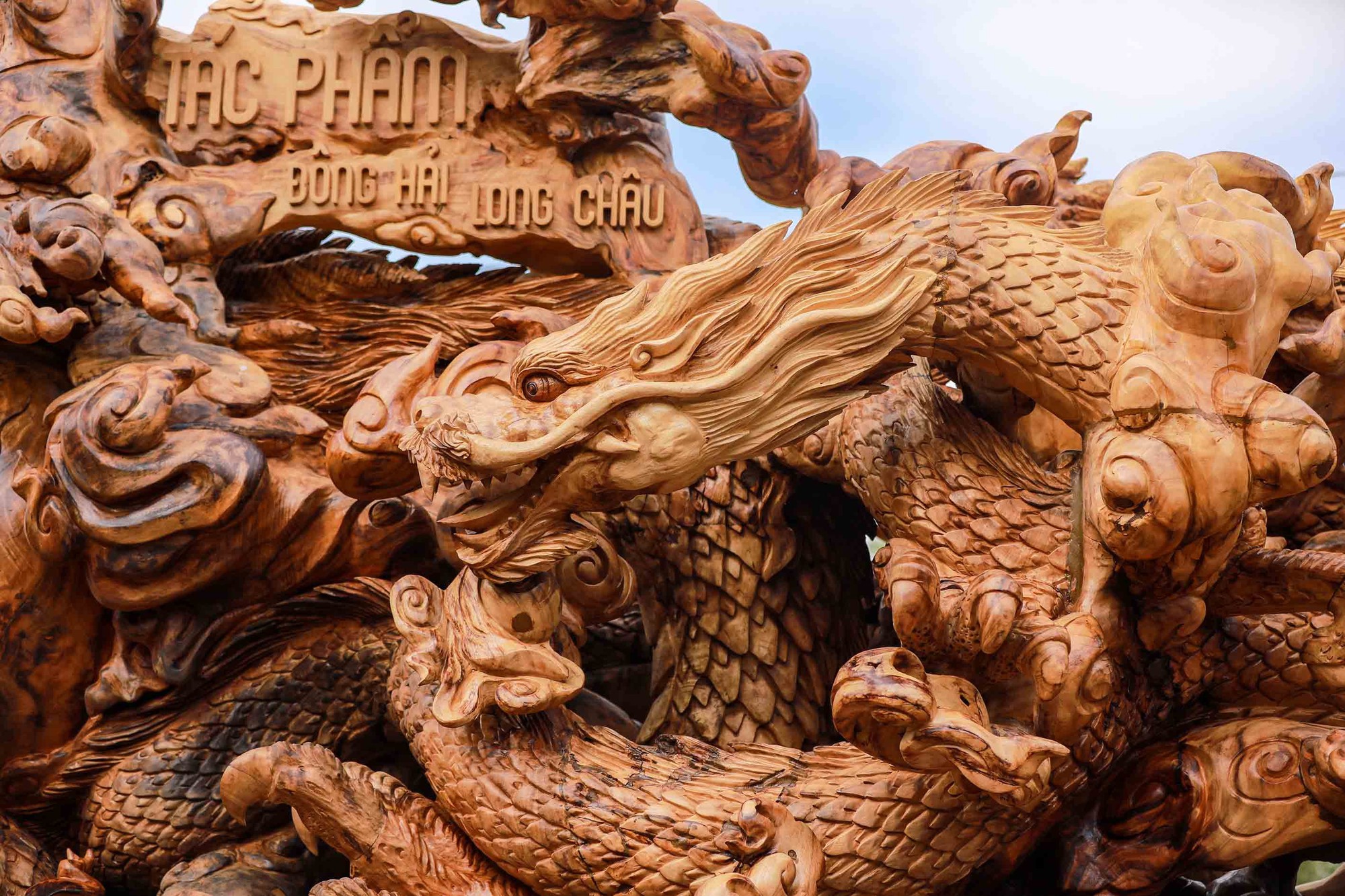 Gốc me tây giá 24 tỷ đồng, chủ nhân dành gần 2 năm tạo hình cửu long - Ảnh 8