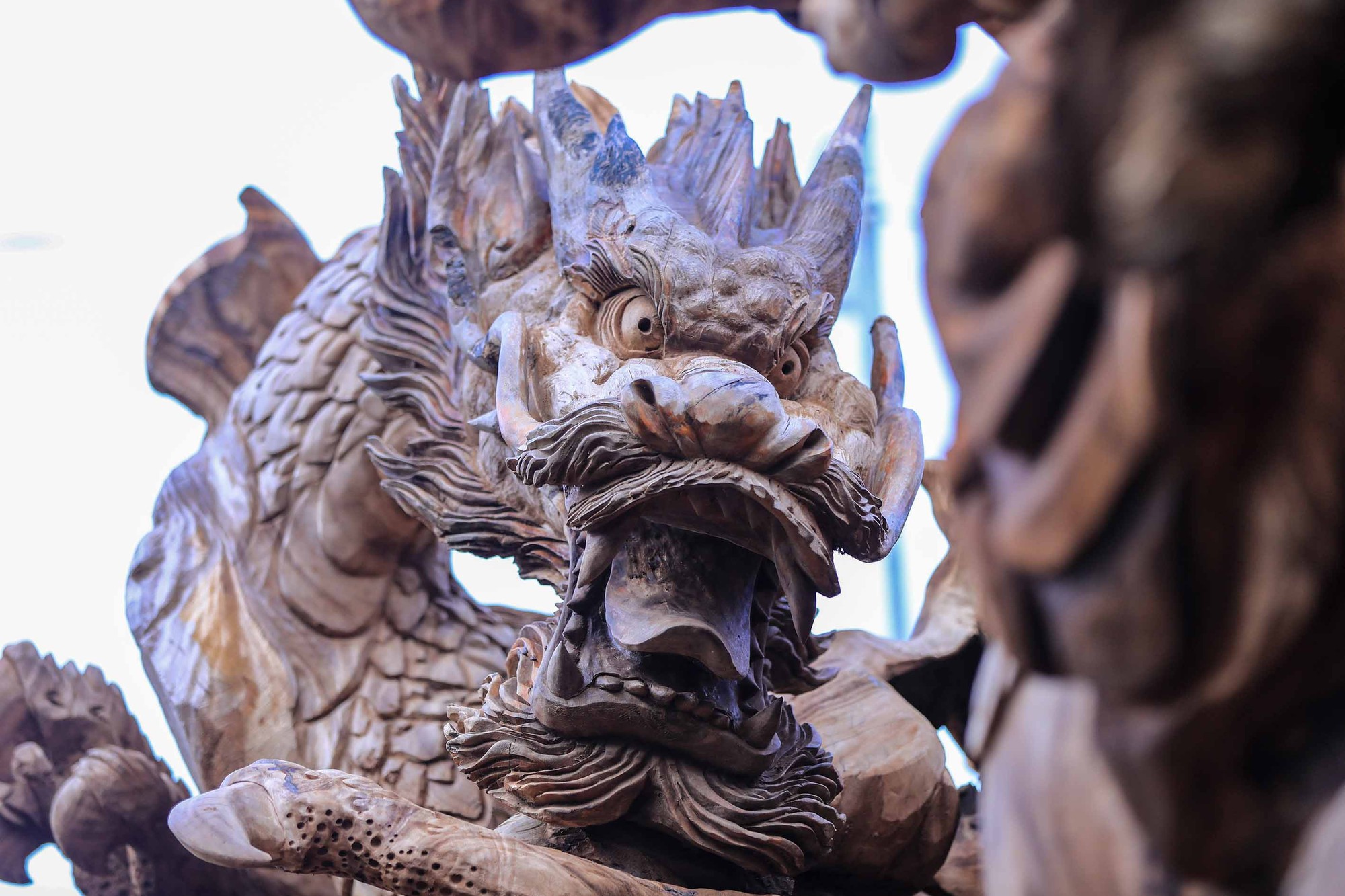 Gốc me tây giá 24 tỷ đồng, chủ nhân dành gần 2 năm tạo hình cửu long - Ảnh 7