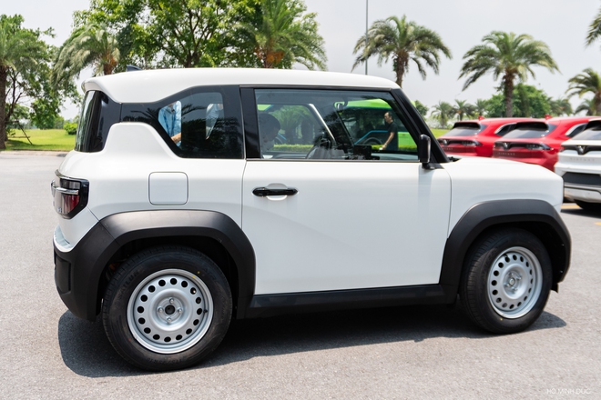 Đây là điều hội 'cuồng' Tesla nói về VinFast VF 3 - Ảnh 2