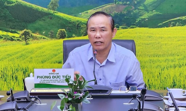Thông tin quan trọng việc Việt Nam gỡ 'thẻ vàng' thủy sản - Ảnh 1