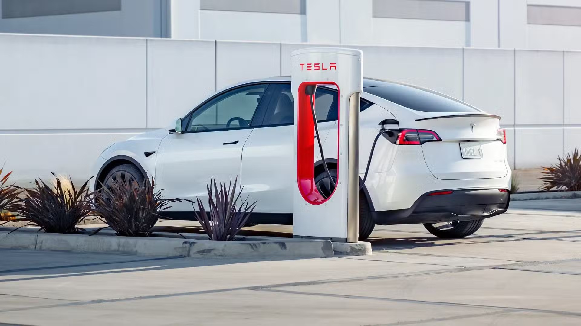 Tesla sa thải toàn bộ nhân viên mảng sạc xe điện hứa hẹn là 'mỏ vàng' tương lai, cả làng ô tô 'đứng hình' - Ảnh 3