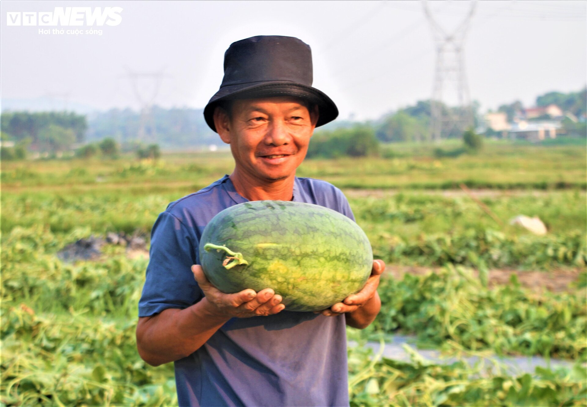 Nông dân 'thủ phủ' dưa hấu ở Quảng Nam thắng lớn nhờ được mùa, được giá - Ảnh 2