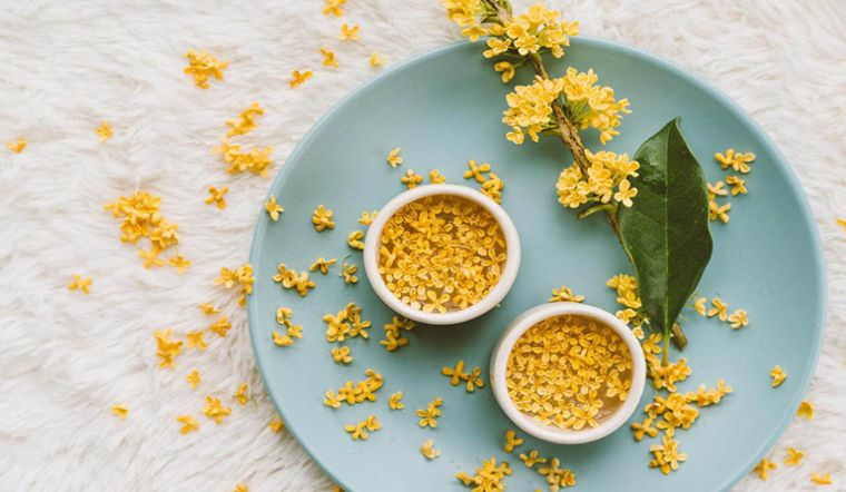 Loại cây sánh ngang lan đột biến của Việt Nam: Đại gia sẵn lòng vác bao tải tiền, gán thêm ô tô để mua - Ảnh 5