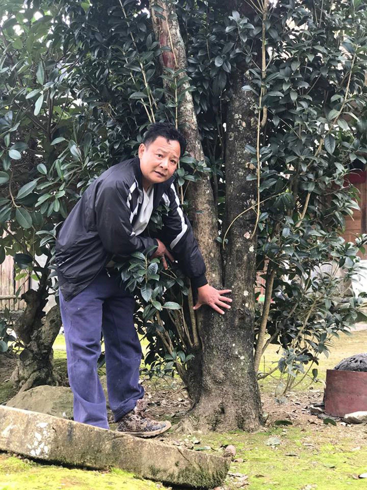 Loại cây sánh ngang lan đột biến của Việt Nam: Đại gia sẵn lòng vác bao tải tiền, gán thêm ô tô để mua - Ảnh 4