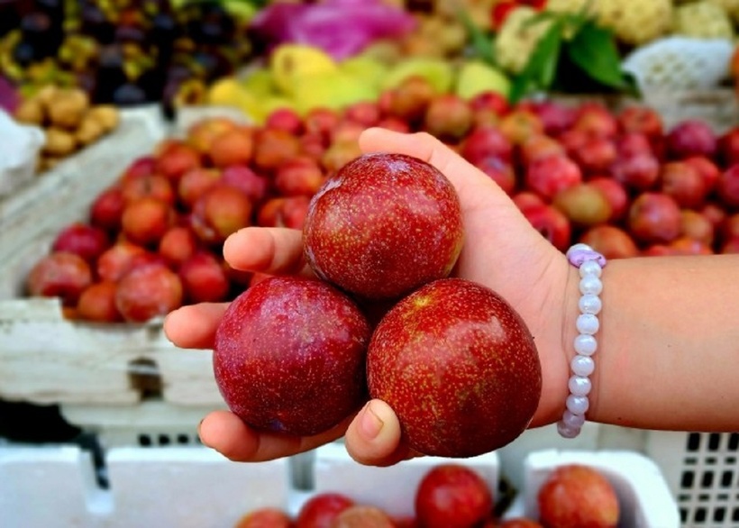 Không còn giá hơn trăm nghìn/kg, mận hậu giá rẻ tràn ngập chợ TP.HCM - Ảnh 1