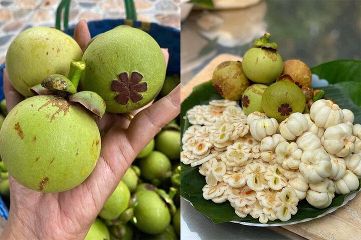 Măng cụt xanh lại sốt xình xịch, giá nửa triệu đồng/kg - Ảnh 2
