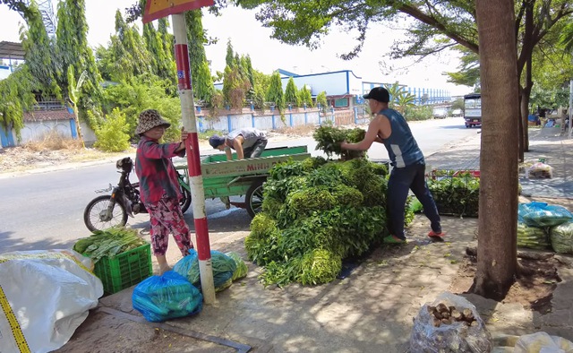 Anh Minh Râu bán hàng ế ẩm vẫn đều đặn tặng rau miễn phí, vừa lĩnh tiền từ YouTube vội làm ngay một việc - Ảnh 1