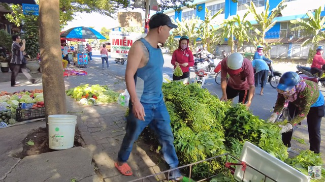 Anh Minh Râu bán hàng ế ẩm vẫn đều đặn tặng rau miễn phí, vừa lĩnh tiền từ YouTube vội làm ngay một việc - Ảnh 4
