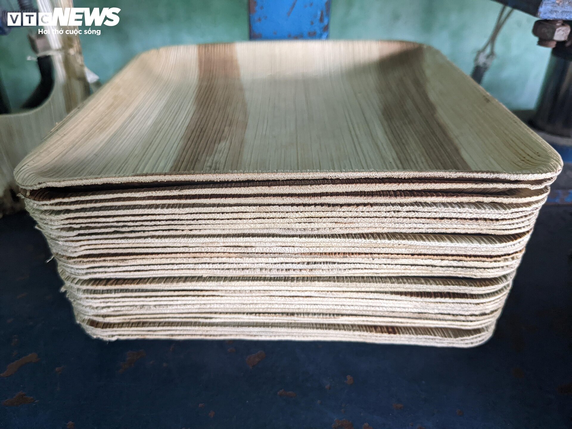 Độc đáo chén, đĩa làm bằng mo cau, xuất khẩu khắp 5 châu - Ảnh 8