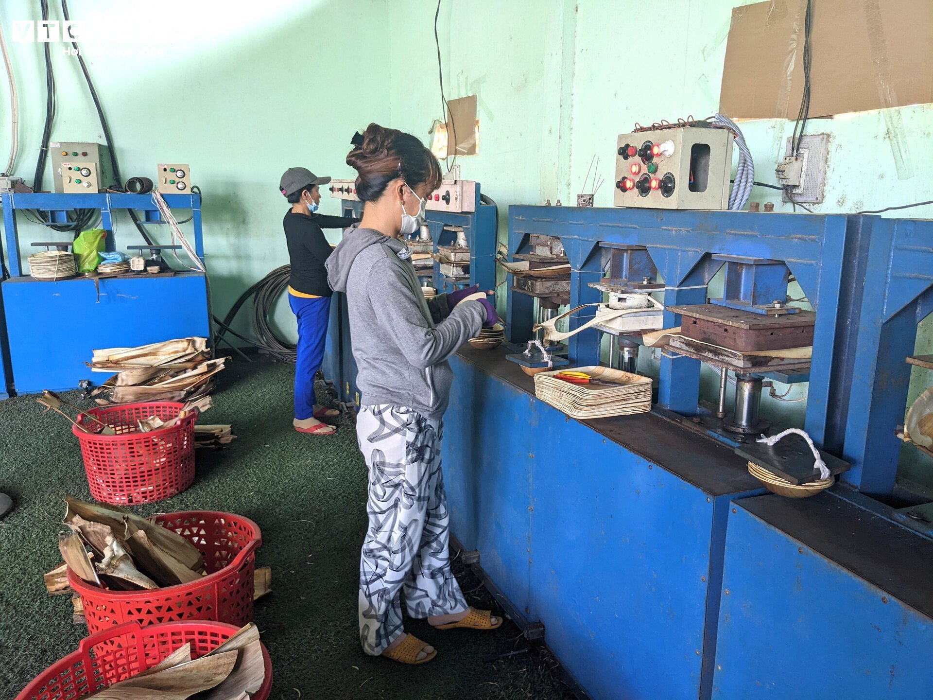 Độc đáo chén, đĩa làm bằng mo cau, xuất khẩu khắp 5 châu - Ảnh 7