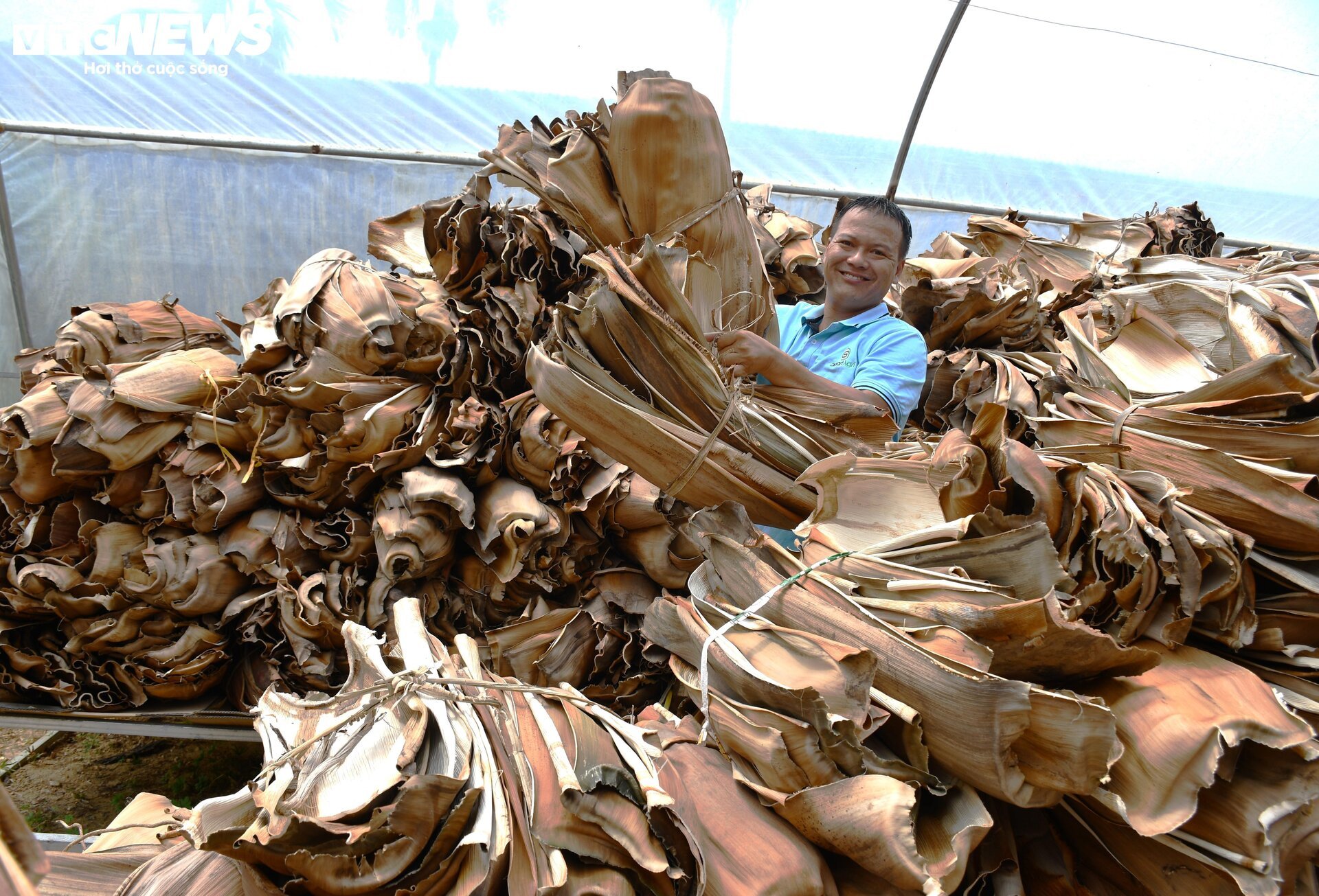 Độc đáo chén, đĩa làm bằng mo cau, xuất khẩu khắp 5 châu - Ảnh 2