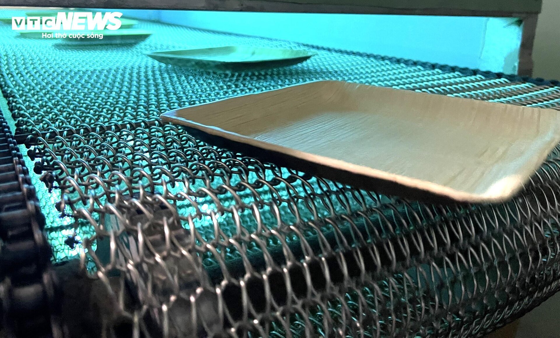 Độc đáo chén, đĩa làm bằng mo cau, xuất khẩu khắp 5 châu - Ảnh 5