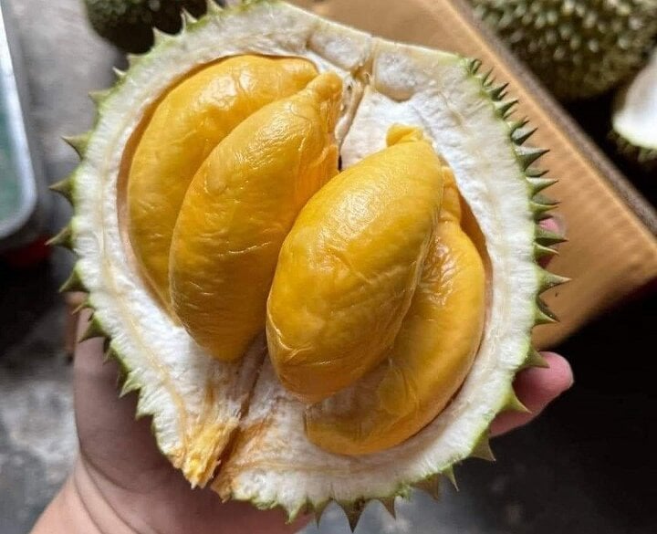 Sầu riêng mini giá rẻ bèo đổ bộ chợ Việt - Ảnh 2