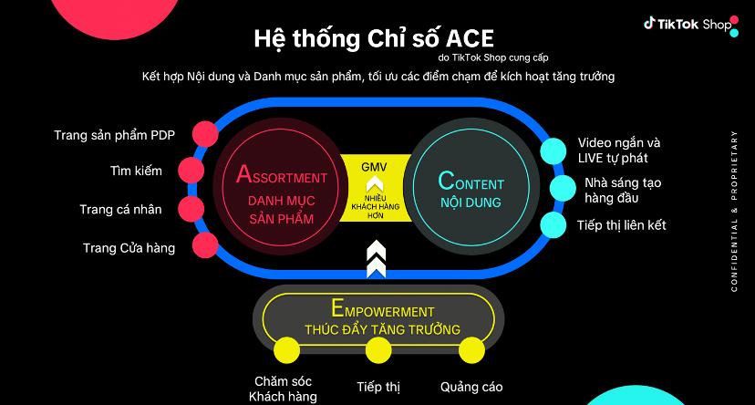 Thương hiệu đầu tư vào TikTok tăng nhanh từ Hệ thống chỉ số ACE - Ảnh 1