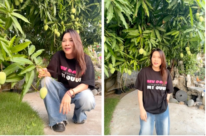 Cây xoài "độc lạ" nhất MXH: Nửa quả vàng ươm, nửa quả vẫn còn "xanh ngắt" - Ảnh 13