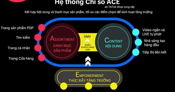 Thương hiệu đầu tư vào TikTok tăng nhanh từ Hệ thống chỉ số ACE