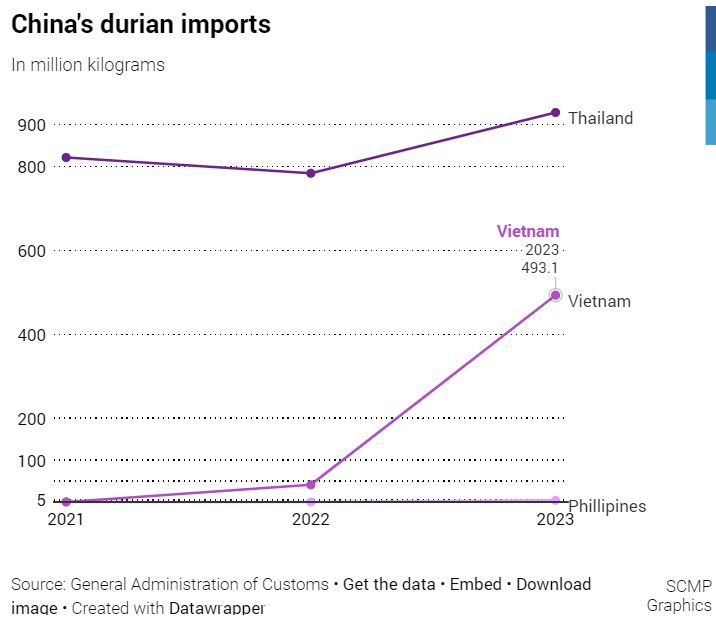"Vàng trên cây" của Việt Nam bất ngờ ăn nên làm ra khi giá tại Trung Quốc lao dốc, Thái Lan có nguy cơ phải nhường lại ngôi vương xuất khẩu - Ảnh 1