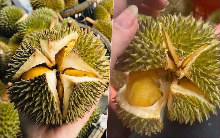 Sầu riêng mini giá rẻ bèo đổ bộ chợ Việt - Ảnh 1